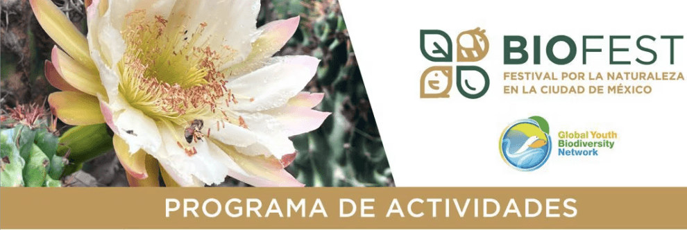 Captura de pantalla 2024 08 17 a las 11.56.07 p.m